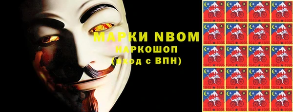 молекула духа Арсеньев