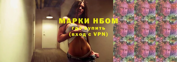 молекула духа Арсеньев