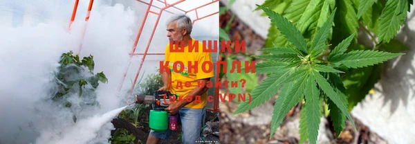 молекула духа Арсеньев