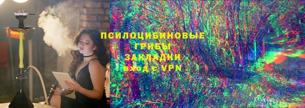 молекула духа Арсеньев