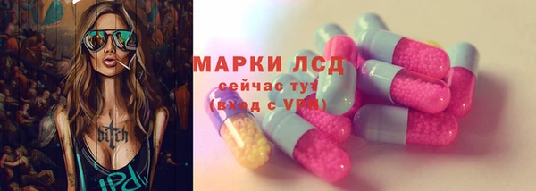 молекула духа Арсеньев
