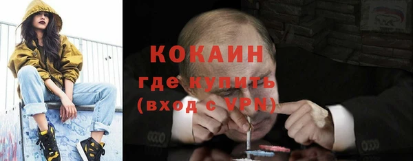 молекула духа Арсеньев
