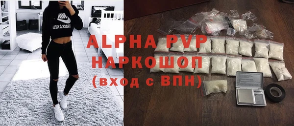 молекула духа Арсеньев