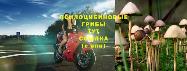 спиды Армянск