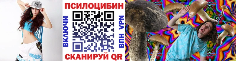 ссылка на мегу зеркало  Сосенский  Псилоцибиновые грибы Magic Shrooms  дарнет шоп 