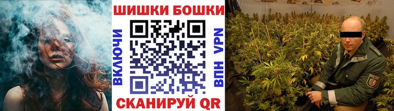 Бошки марихуана гибрид  Сосенский 